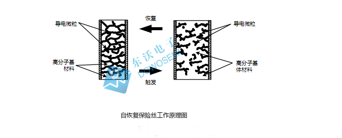 自恢復(fù)保險絲.jpg